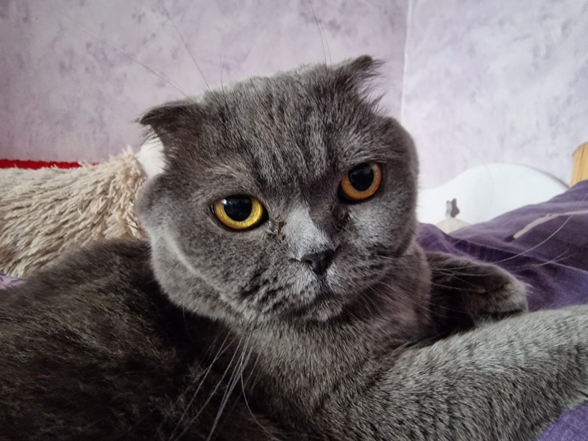 Tomasz Bartoń tweet media