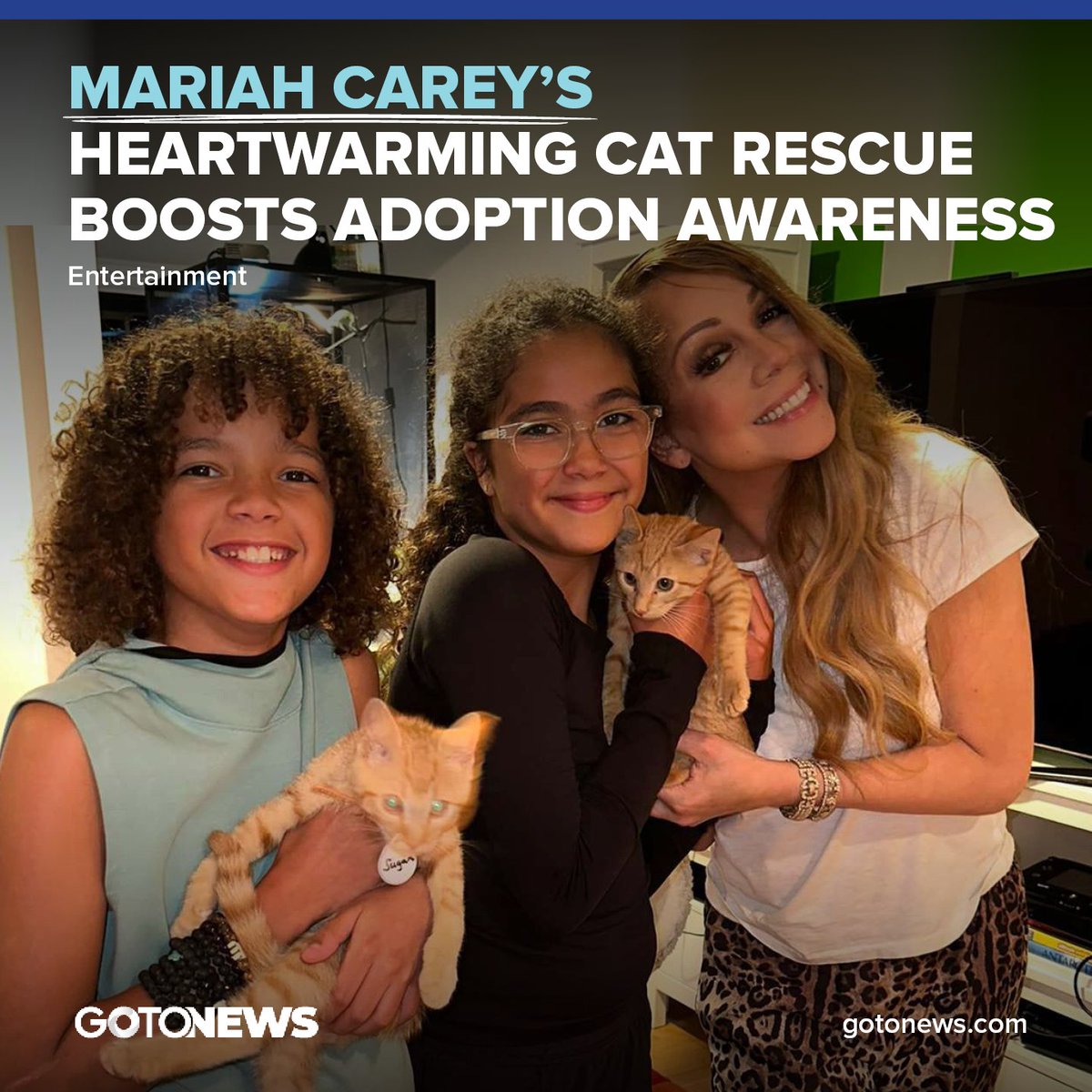 Mariah Carey's Heartwarming Cat Rescue Boosts Adoption Awareness!. By choosing adoption, Mariah shone a spotlight on the importance of giving shelter animals a home.
gotonews.com
#mariahcarey #hollywood #hollywoodnews #hollywoodsinger #adoptionawareness #gotonews