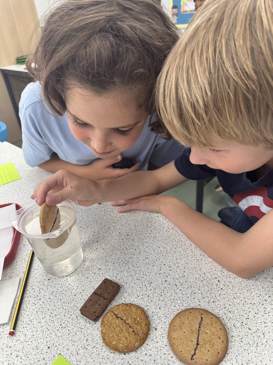 CCJuniorScience's tweet photo. Which biscuit is the best to dunk in your tea? #CCJYear5 and #CCJYear6 made a great start to #CCJuniorScience investigating the ‘dunkability’ of biscuits! Turns out that Rich Tea biscuits are the ones to get for a lasting dunk! #CCEnquirers #CCProblemSolvers @ClairesCourtJnr https://t.co/HgIduRxDK6