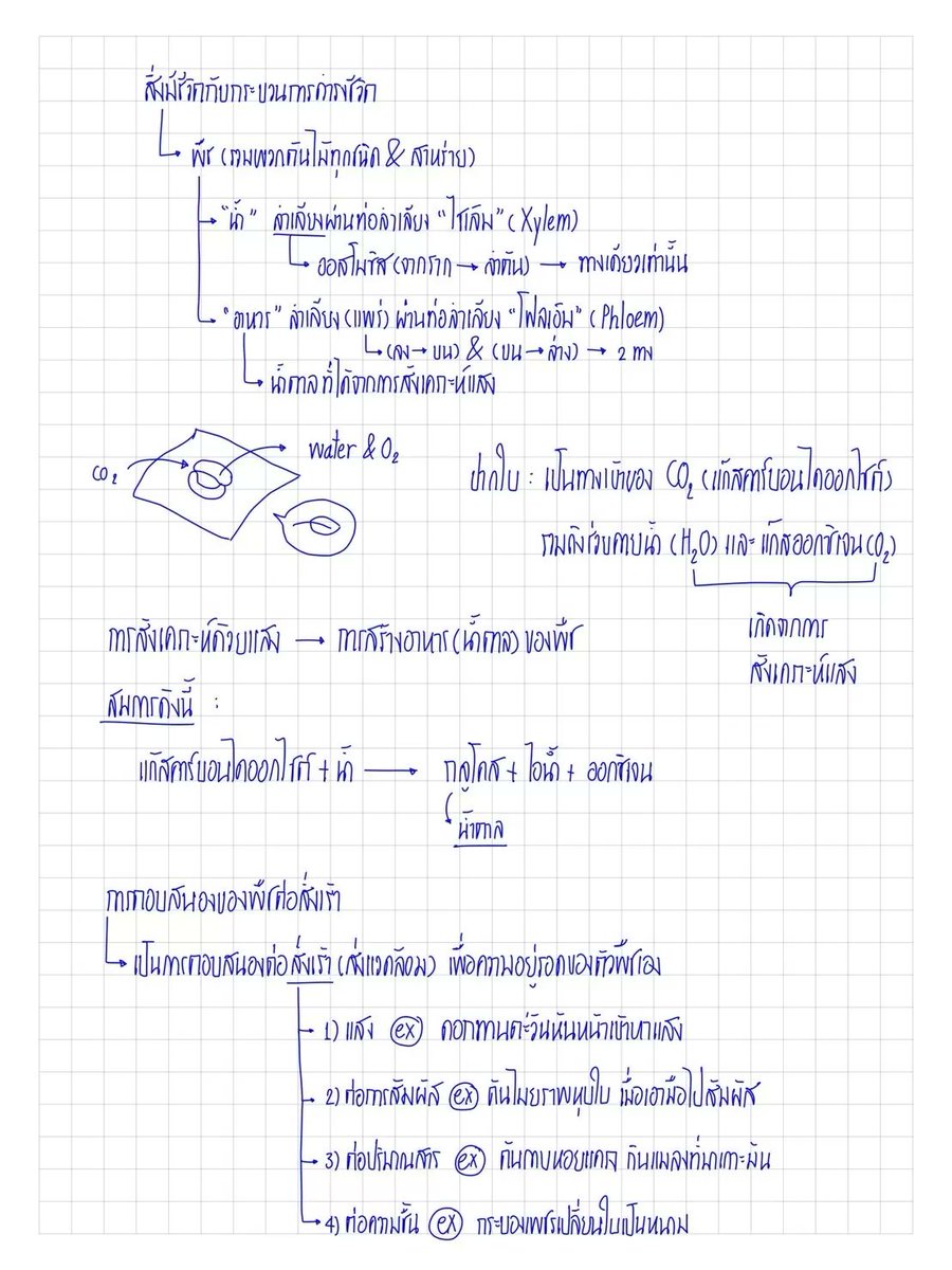 ClearThailand's tweet photo. สวัสดีจ้า 🖐
คืนนี้มาทวนชีวะเรื่อง "พืช" กัน 📚😴
.
#สรุปจากติวเตอร์ by Apple Tutor🍎
อ่านต่อเต็ม ๆ ได้ที่📲 https://t.co/Y8rrjo5ALH
.
มาทบทวนบทเรียนให้คะแนนปังขึ้นด้วยสรุปจาก #Clearnote 👍
.
#ติว #สรุป #dek67 #dek68 #dek69 #ชีวะ #สรุปชีวะ #ชีววิทยา #สรุปพืช #Appletutor https://t.co/hWAZ5rYnhA