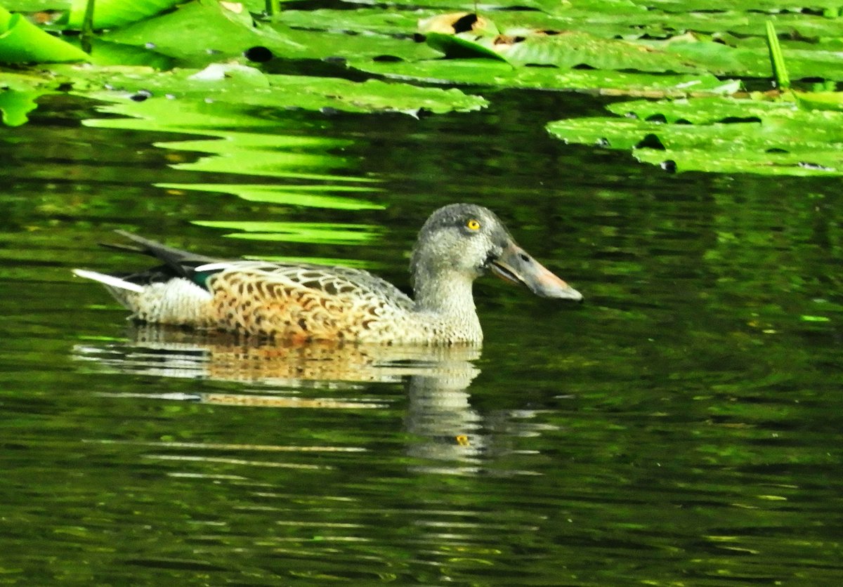 Phil Bull tweet media