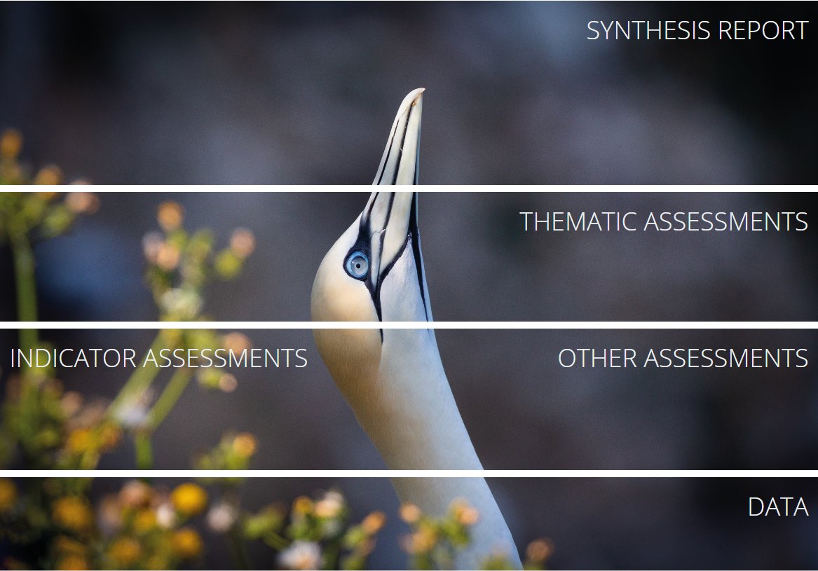 NEW! The most comprehensive &amp; authoritative assessment of the state of the North-East Atlantic, OSPAR Quality Status Report 2023. It's the culmination of work by over 200 scientists across Europe, incl. our own researchers &amp; will help inform marine policy oap.ospar.org/en/ospar-asses…