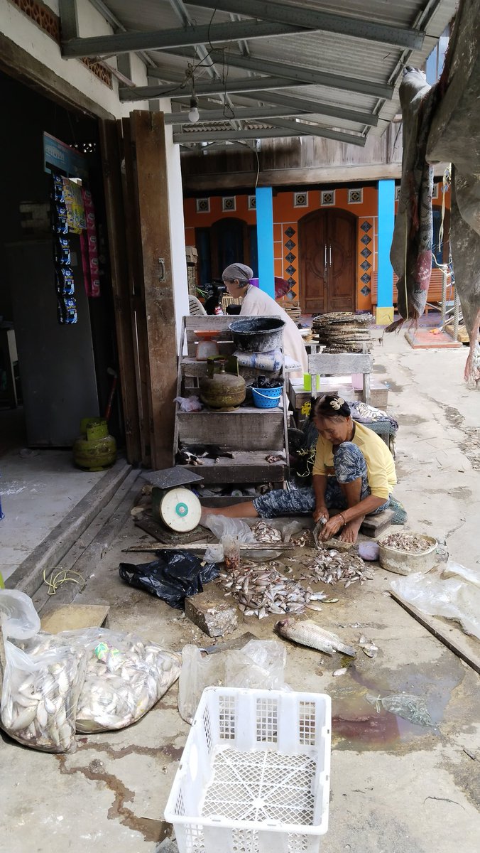Rhiee_84's tweet photo. Senin 18.09.2023, Giat Luhkan Kec. SP Padang OKI, pelaku usaha Ibu Katit, Produksi hasil olahan dari ikan menjadi kemplang, 15kg perhari menjadi 1000 keping dengan harga jual Rp. 300,-/keping
#GiatLuhkanSatminkalBRPPUPP
#luhlapor
#KabOKI https://t.co/3tWCxBgGi0
