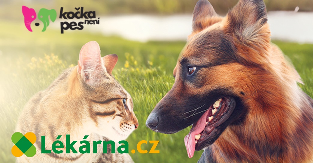 Sobotu 23. září jsme si v lékárna.cz vybrali za den, kdy se chceme s Chrudimáky setkat osobně, a to v Parku Střelnice v Chrudimi v čase 10-16 hodin. Zvu Vás srdečně na rodinnou akci Kočka není pes v Chrudimi a vezměte s sebou i vaše domácí mazlíčky, nebo jen tak.