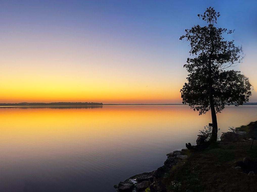 The Lonely Lake Tree
ps - thanks to the 365 group for a TOP TWENTY award