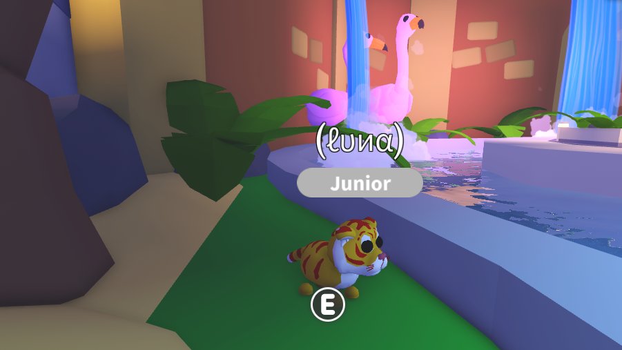 8x gold lunar tigers giveaway!

2 winners

rules:

follow me

like and retweet

ends in 2 days

kw:roblox robux rbx gw royale high adopt me mm2 rh rhd dims diamonds halo nfr mfr n m mega neon fly ride high tier set cross trade trades trading mw mm trading for cross

good luck!