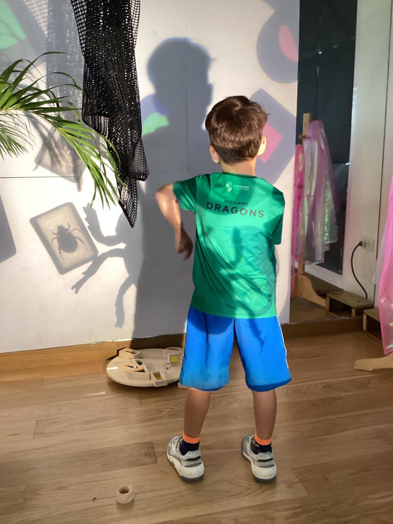 Projection has been introduced EY2 this week. The children have been exploring with light, shadow, colour and reflections. It has been brilliant for language development and creativity.