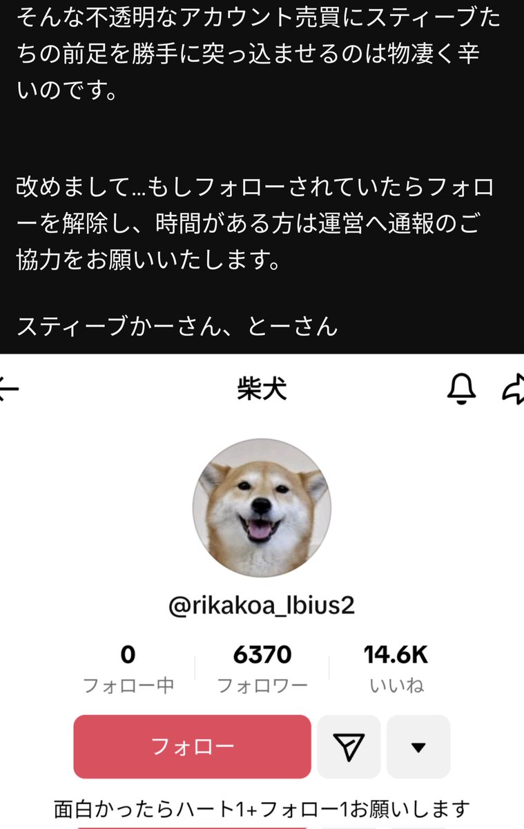 SteveFugudis's tweet photo. ⚠️注意とお願い⚠️
𝙏𝙞𝙠 𝙏𝙤𝙠も応援して下さっている皆様へ。
文章が長くなってしまったのでYouTubeコミュニティに投稿した文章をスクショいたしました🙇‍♀️
どうかご一読、そしてご協力をお願いいたします。
#柴犬スティーブ #柴犬スティーブch https://t.co/ZEpTHXyLzw