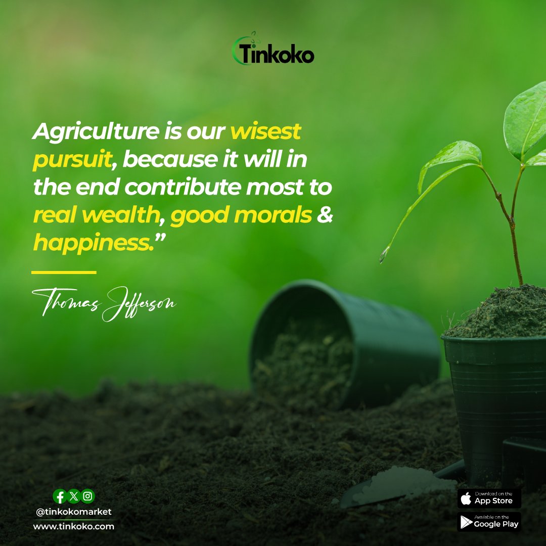 Tinkokomarket's tweet photo. Wise words that resonate with us deeply. Agriculture isn't just about crops; it's about cultivating a sustainable future for all. Let's continue to sow the seeds of prosperity, ethics, and joy through our shared love for farming.

#AgricultureWisdom #motivation #motivationmonday #Tinkoko #farm #farming #tinkokomarket #agriculture #FarmLife