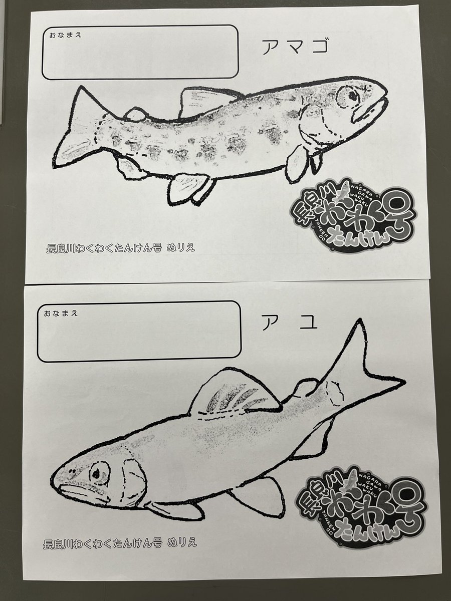 長良川わくわくたんけん号の出発式のあと、車内のレクリエーションで塗り絵をする時に、長良川最上流の川漁師「美濃飛騨グルメ」さんにアユとアマゴの写真をお借りして説明に使わせてもらいました☺️ありがとうございました。
塗り絵は長良川鉄道さんが用意してくれました。 