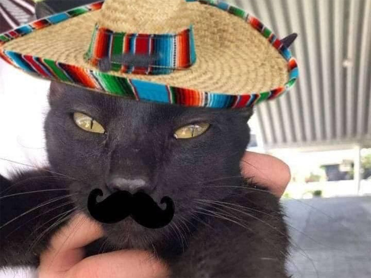 MerGarza's tweet photo. Adiós pozole | Hola Cempasúchil https://t.co/WZupMBcCL9