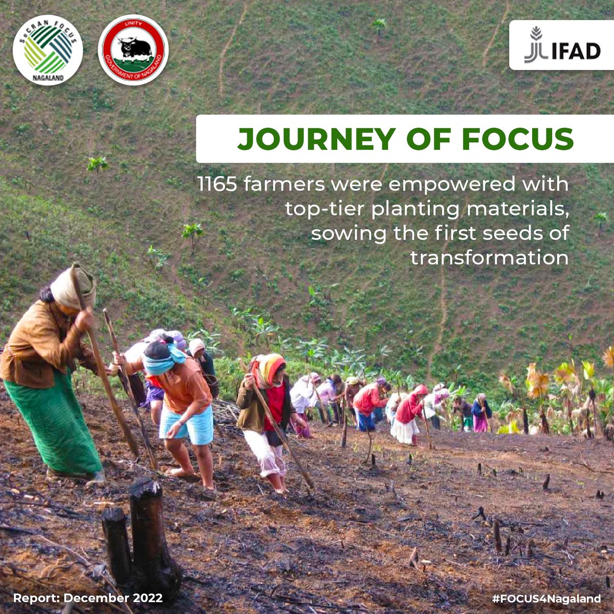 'Sowing Seeds of Transformation'

Empowered 1165 Farmers on the Journey of FOCUS🌱

#FOCUS4Nagaland #Nagaland #JourneyofFOCUS #agri #SeedsForTheFuture