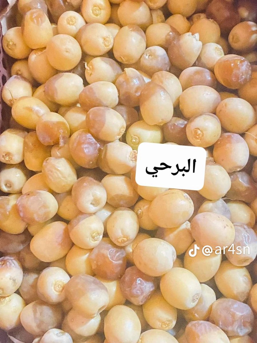 #ارسال_جداول_العلوميين