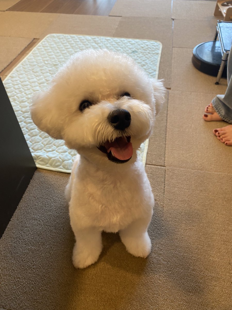 髪を切ったよ🤗💕