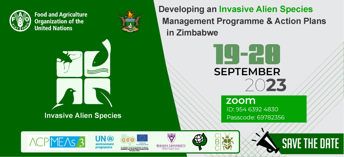 faosfsafrica's tweet photo. To align with the #GlobalBiodiversityFramework, Zimbabwe, with @FAO's technical support &amp; funding from @euinzim, will bring together the environmental &amp; agricultural sectors to develop action plans to reduce the impacts of Alien Invasive Species. 

@MoLAFWRD_Zim  @METHI_Zimbabwe https://t.co/wQkdE4tlUH