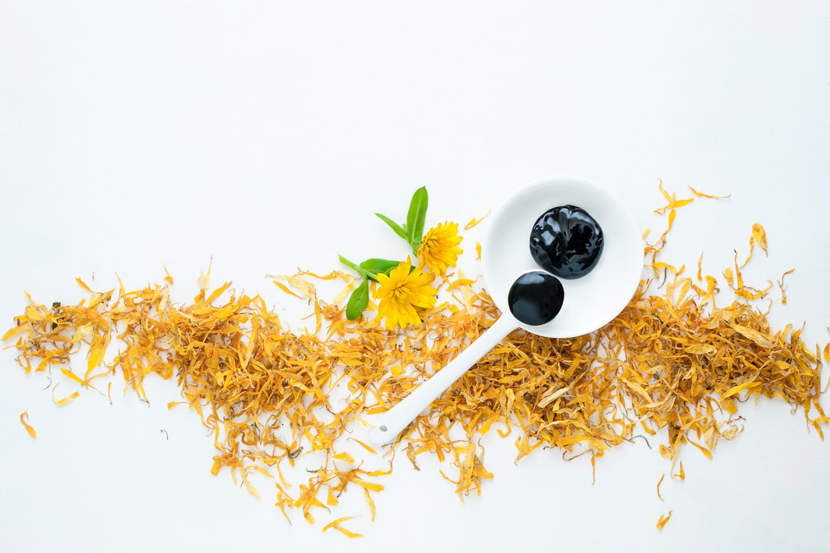 The marigold extract used in our Marigold, Frankincense &amp; Myrrh Moisturiser contains bioactive compounds that can significantly protect against oxidative skin stress. 🙏

Read more: MuLondon.com/ingredients

Photo by the lovely Cristina Colli for MuLondon 💛