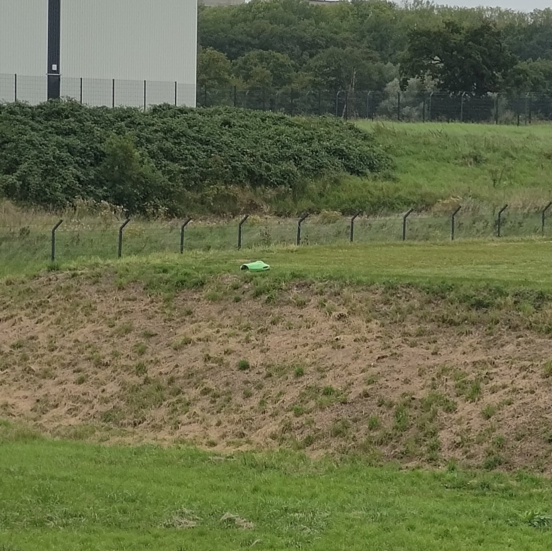 PanzKampfer's tweet image. 9:15 18.09.2023
Bruder steckt fest
#rasenmähroboter
#ai vom feinsten