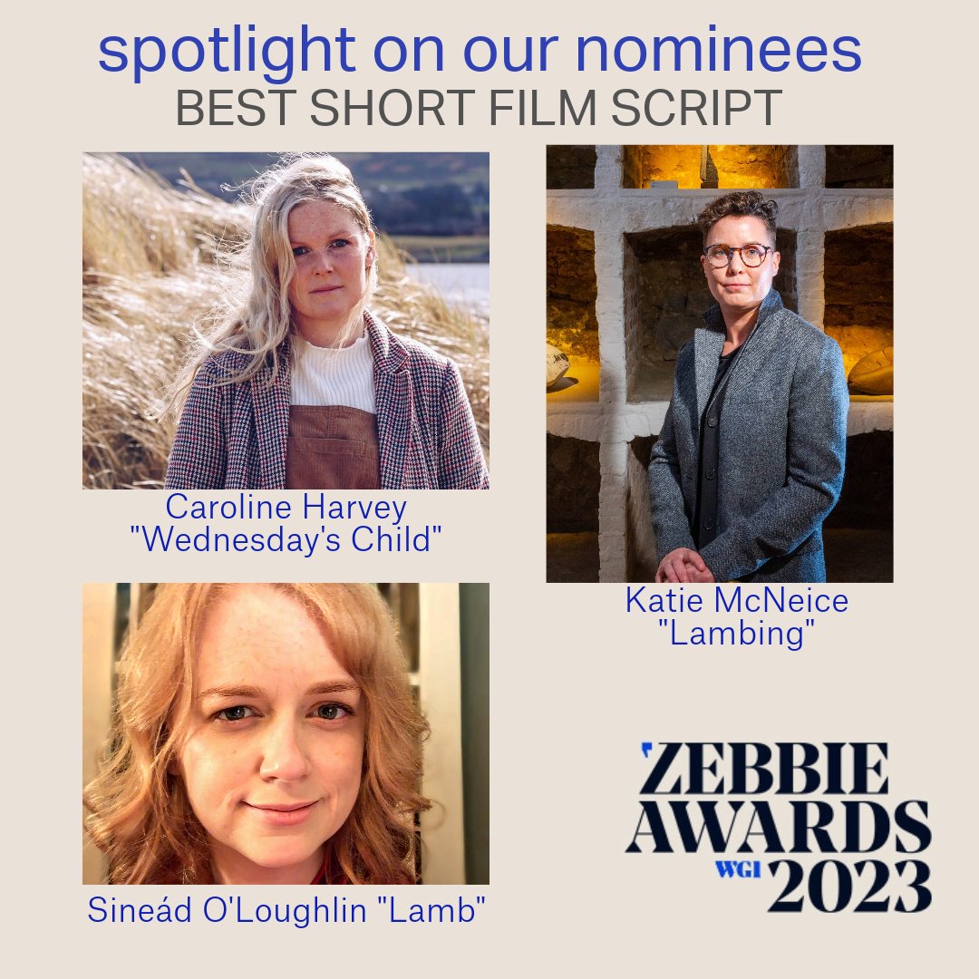 Proof that unforgettable stories can also be short ones – take a bow genius writers @KatieMcNeice, @Nedloughlin, & Caroline Harvey #Zebbies23 – vote now at script.ie/zebbies/2023/