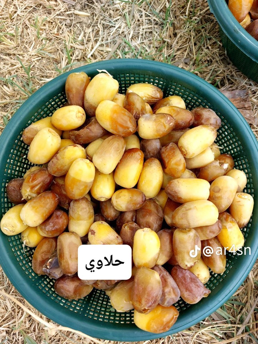 #ارسال_جداول_العلوميين