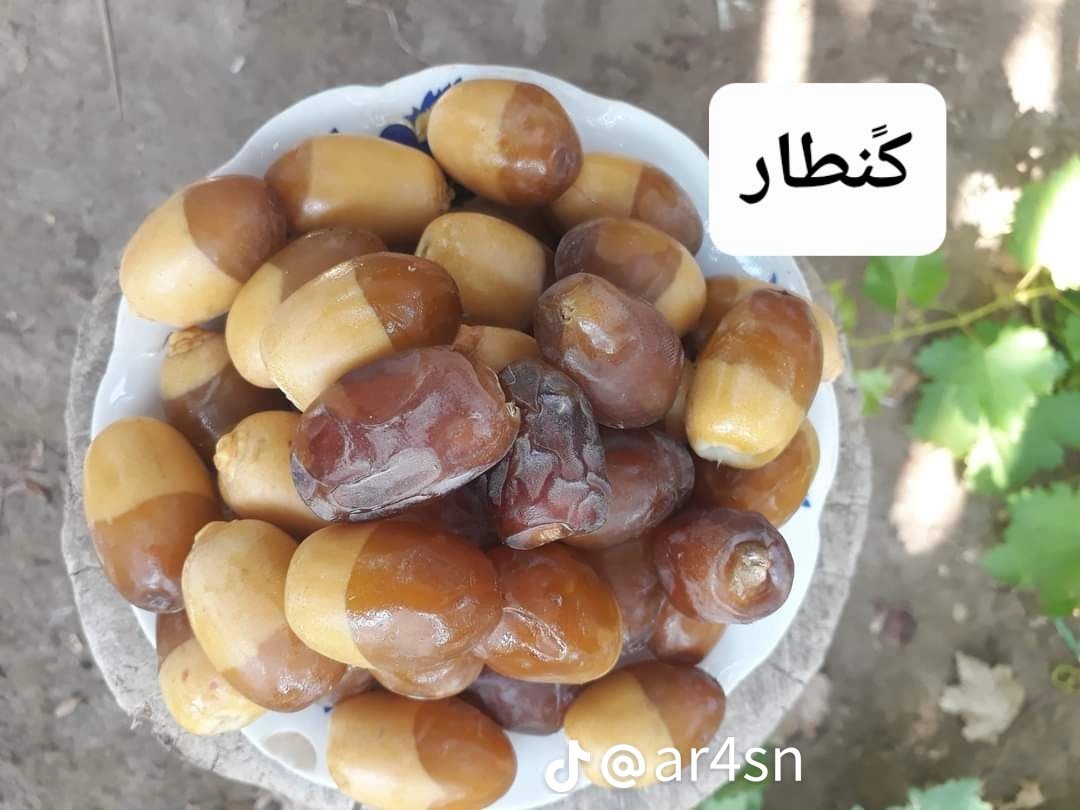 #ارسال_جداول_العلوميين