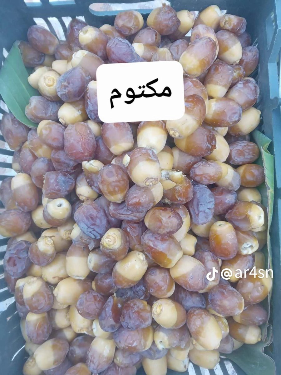 #ارسال_جداول_العلوميين