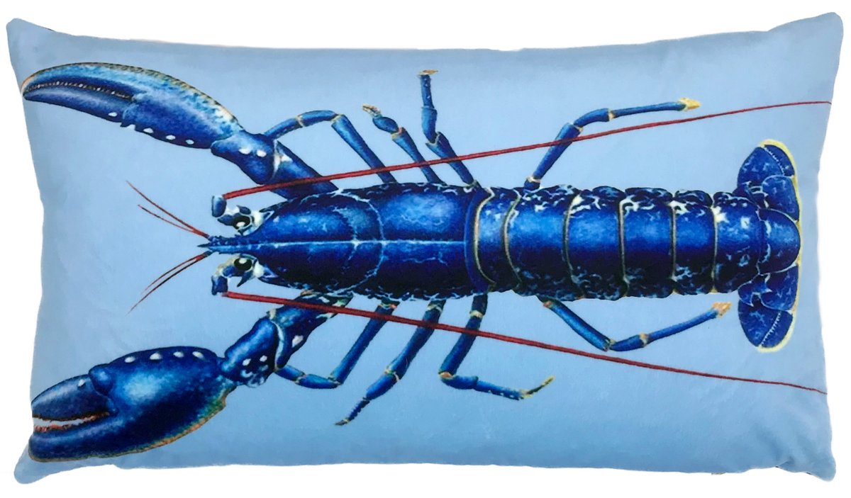 Blue Lobster on sea blue velvet with an inky blue linen back. Stylish and interesting pop of colour. weavinggoldcushions.com/product-page/l…
