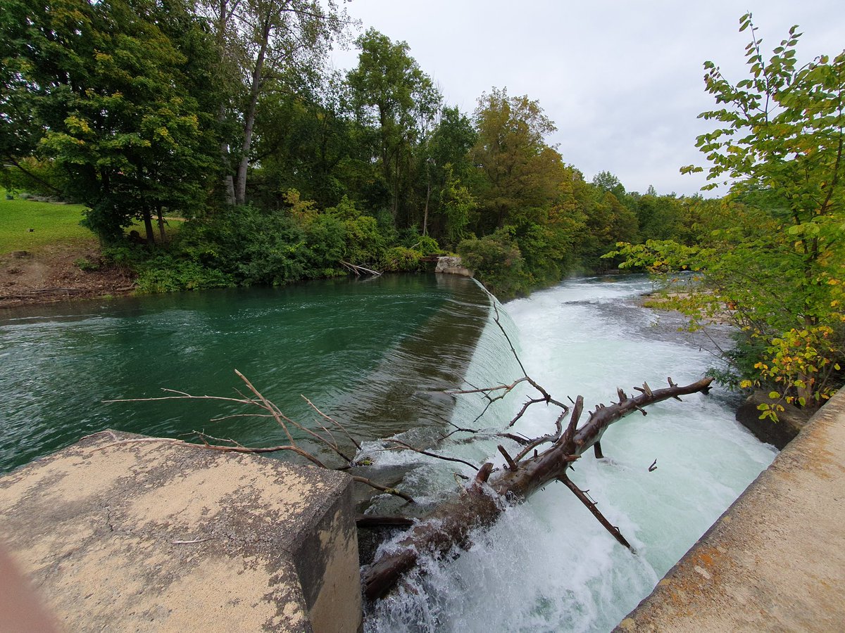 @NCatalanGarcia @GenderAil <a href="/SIL_limnology/">SIL Limnology</a> <a href="/aslo_org/">ASLO</a> Walking in the footsteps of Dr. Kathleen Carpenter <a href="/AberUni/">Aberystwyth University</a> alumnus on the La Chute River - she described a polluted ecosystem; we discovered a river supporting urban renewal.  #womeninscience #Wales #USA #freshwater #Ticonderoga #NewYork