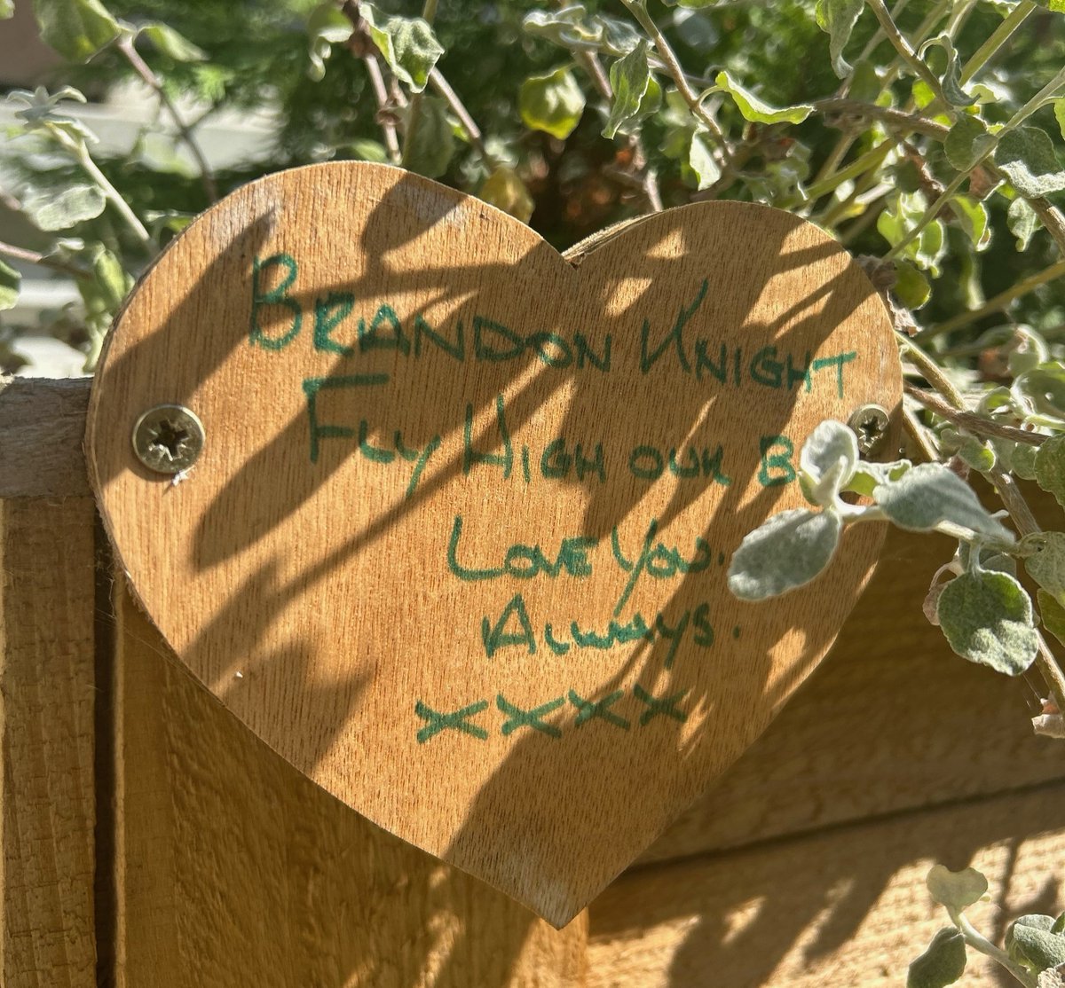 Maidstone and Tunbridge Wells NHS Trust (@mtwnhs) on Twitter photo As we begin #OrganDonationWeek today, our garden at Maidstone Hospital helps recognise the extraordinary generosity of organ and tissue donors. 💗
Seasonal flowers and bespoke wooden hearts in memory of loved ones create a place for contemplation and reflection.
<a href="/NHSOrganDonor/">NHS Organ Donation💗🫀🫁</a> As we begin #OrganDonationWeek today, our garden at Maidstone Hospital helps recognise the extraordinary generosity of organ and tissue donors. 💗
Seasonal flowers and bespoke wooden hearts in memory of loved ones create a place for contemplation and reflection.
<a href="/NHSOrganDonor/">NHS Organ Donation💗🫀🫁</a>