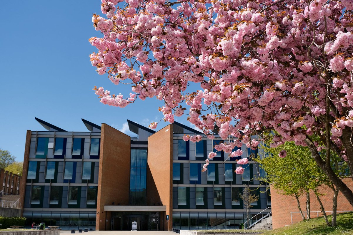 The University of Sussex Business School has performed well in the 2023 Top Rankings of Universities by Research.com. We are ranked 7th in the UK for #Economics and #Finance and 16th for Business #Management Read the full news item: sussex.ac.uk/business-schoo… #Research