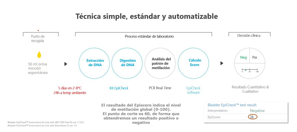 Hospital_FJD's tweet photo. Nuestro hospital incorpora el biomarcador Bladder Epicheck para optimizar el diagnóstico y seguimiento de los pacientes con #cáncer de vejiga https://t.co/JcfVKoQ8qs https://t.co/UNOEsj9Aua