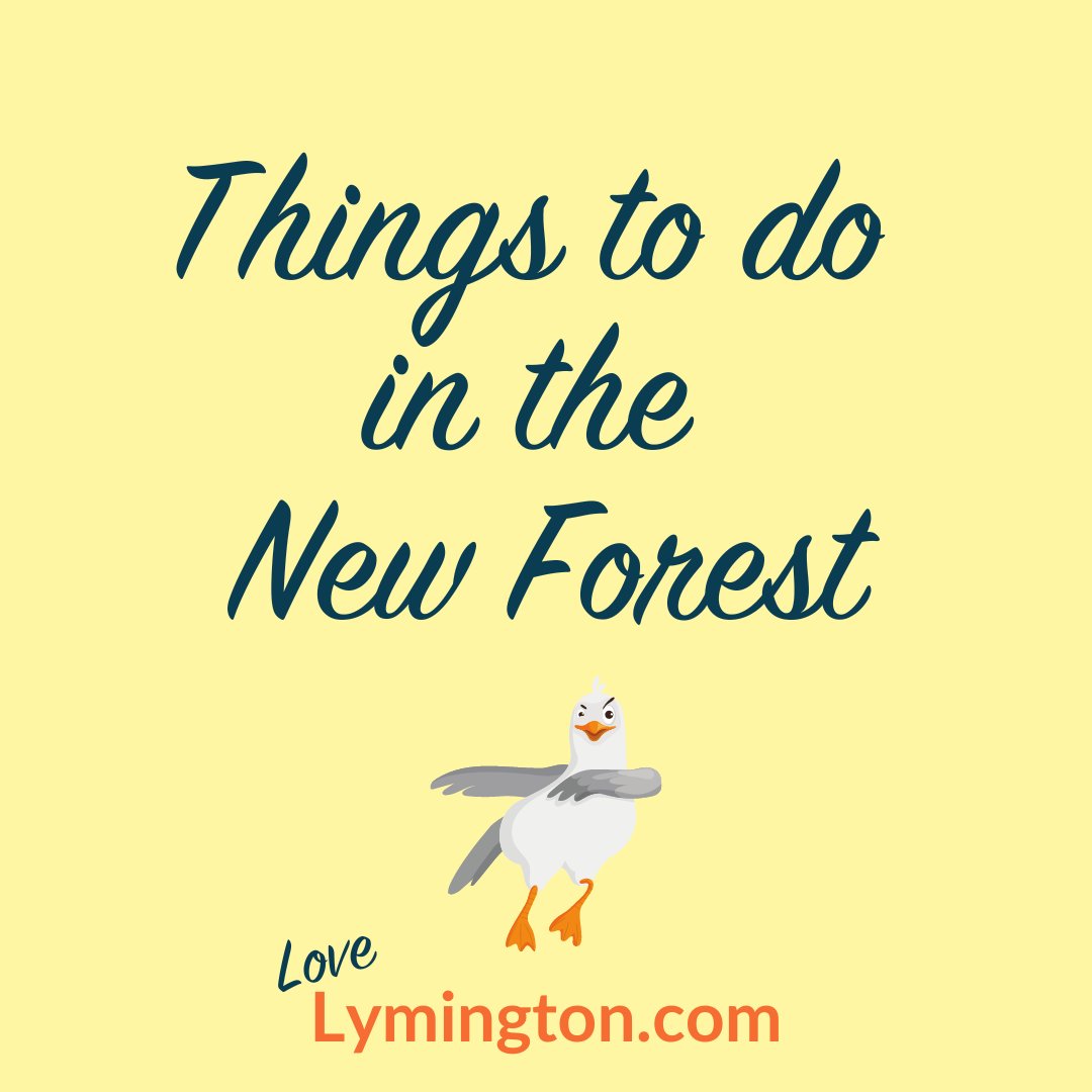 Find things to do in the New Forest on Lymington.com, including places to visit, walks, clubs and societies at: lymington.com/things-to-do - PLUS a comprehensive calendar of events at lymington.com/events

#newforest #lymington #events #thingstodo #whatson #activities