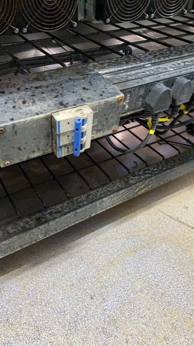 Red Panda Mining tweet media