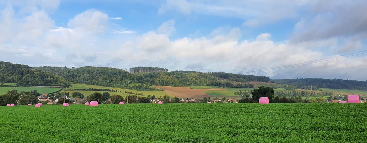 Octobre arrive à grands pas !
Plusieurs manières de se mobiliser pour lutter contre le cancer du sein. 
Certains cultivateurs enrubannent leurs balles de paille en rose. 
Nous, nous marcherons le 7 octobre au Thil-Manneville.