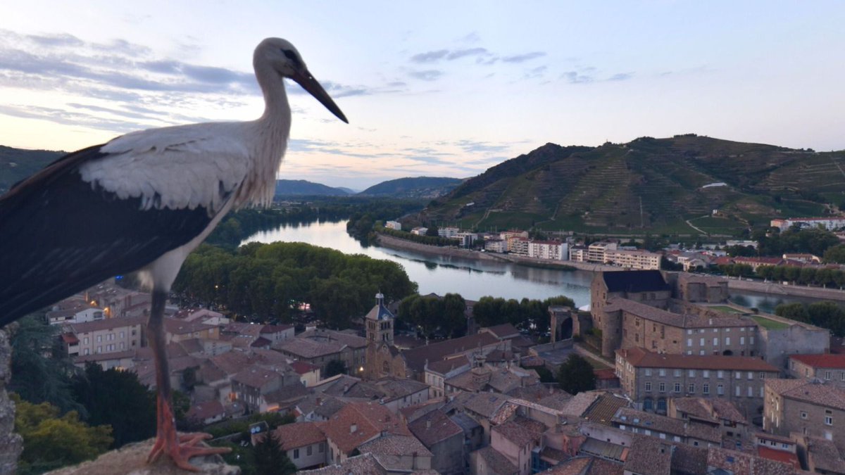 Ardèche Hermitage (@ahtourisme) on Twitter photo Faire une halte et profitez de la vue 😍, quand on vit que c'est une des plus belles vues sur la Vallée du Rhône...
👉 ardeche-hermitage.com/fr/webcam-de-l…
<a href="/skaping/">Skaping - Webcams touristiques 360°</a> <a href="/ARCHEAgglo/">ARCHE Agglo</a> @ArdecheTourisme @ladrometourisme Faire une halte et profitez de la vue 😍, quand on vit que c'est une des plus belles vues sur la Vallée du Rhône...
👉 ardeche-hermitage.com/fr/webcam-de-l…
<a href="/skaping/">Skaping - Webcams touristiques 360°</a> <a href="/ARCHEAgglo/">ARCHE Agglo</a> @ArdecheTourisme @ladrometourisme