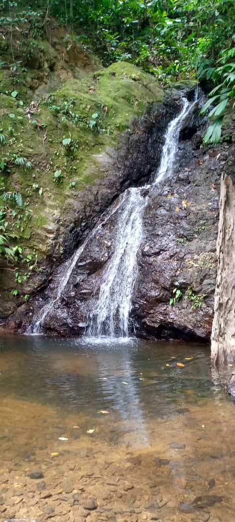 Fundainil's tweet photo. Hoy se celebra el #DíaMundialdelControldelaCalidaddelAgua, una iniciativa que nos invita a participar en el monitoreo y la conservación de este recurso vital. ¿Sabes cómo está el agua de tu localidad?
#contaminación #medioambiente #naturaleza #Tapipa #fundainil https://t.co/ysBIqJEKQi