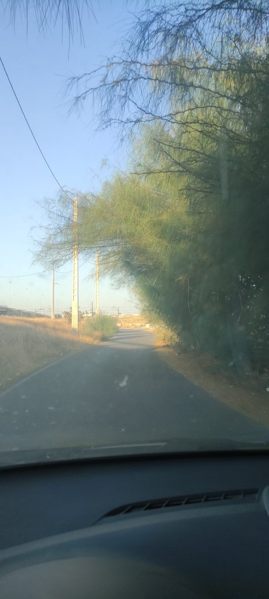 isabelmatasr's tweet photo. @eveliarincon Buenas tardes Evelia, he puesto ya varios avisos pero no ha habido respuesta ni solución. ¿Sería posible una poda o recorte de ramas? Cada vez se ve menos y es un peligro, sobre todo de noche... Gracias. https://t.co/Ks9sBO2ATn