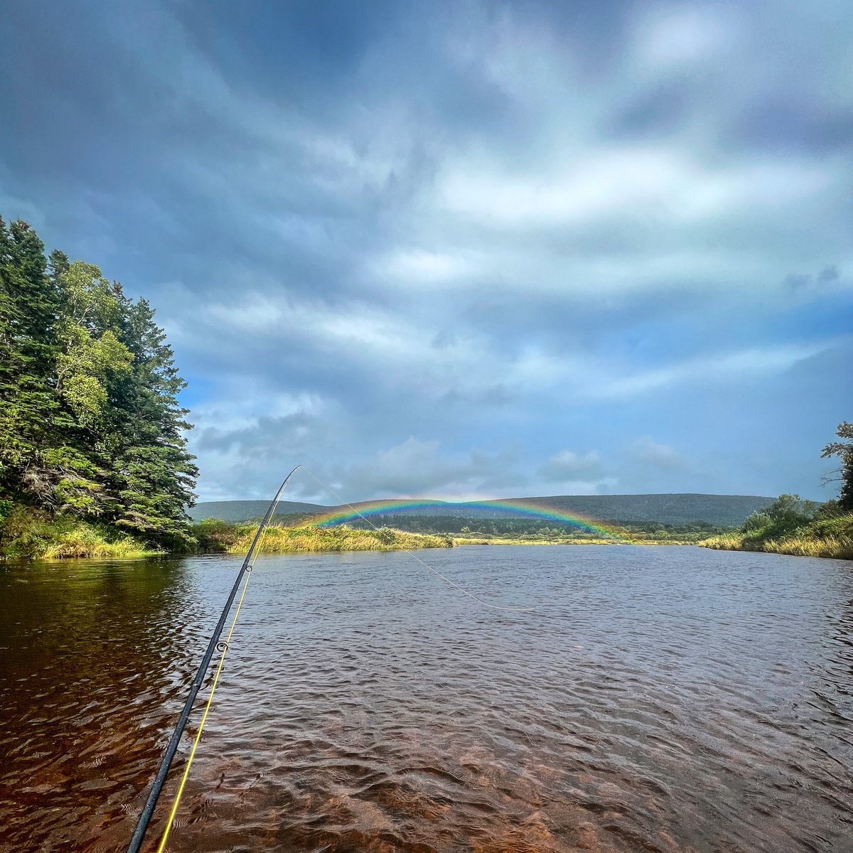 DortMatt's tweet photo. Ｆｏｕｎｄ　ｉｔ　！

.
.
.

#potofsilver #rainbow #wild #wildthings #wildrivers #hurricanelee #flyfishing #itsalifestyle #sageflyfish #sageelitepro #rioproducts #rioambassador #fishpondusa #fishpondpro #fishing #guidelife #canada #novascotia https://t.co/3iLWLXe3eB