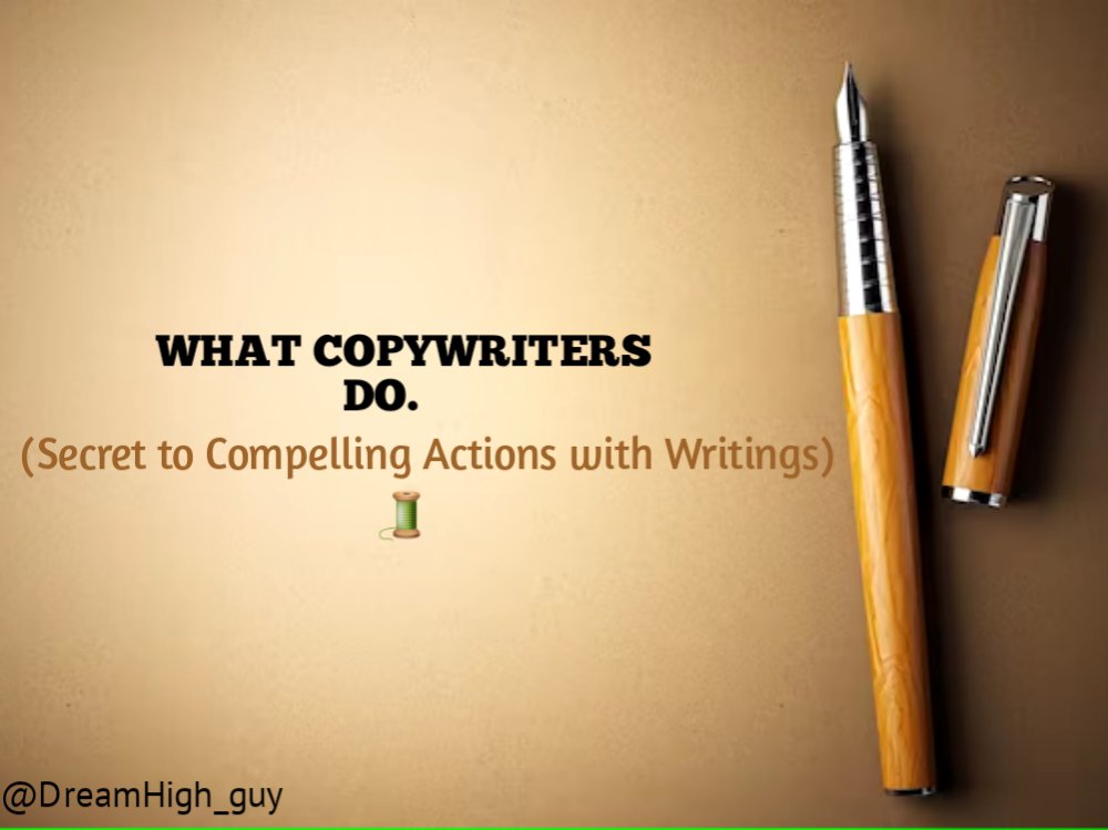 Dream High 🐻 ⛓️ tweet media