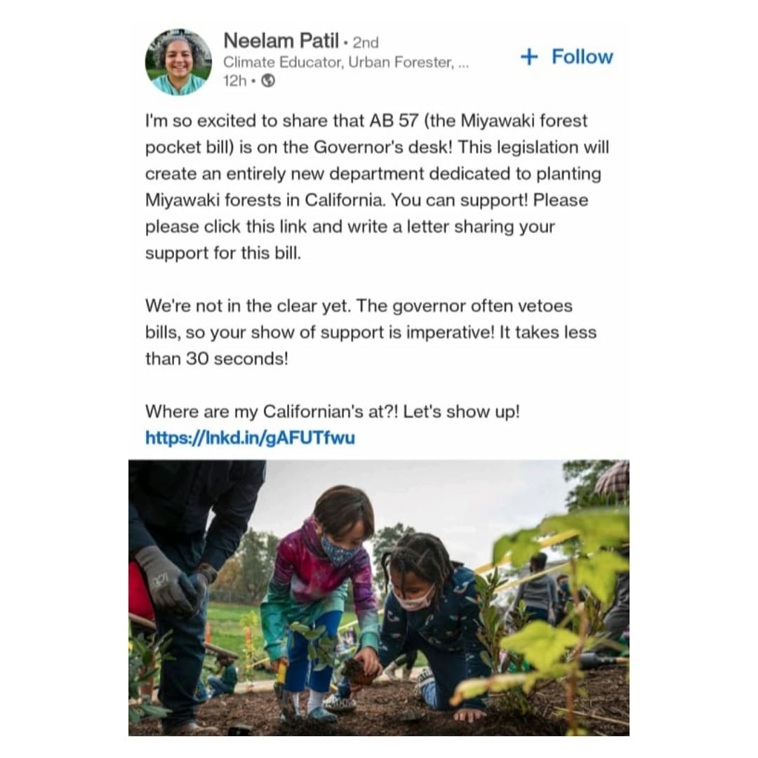 Very happy to share the efforts of Neelam Patil, a good friend of Afforestt, and her team. You can support : actionnetwork.org/letters/tell-y… #afforestt #urbanforest #indigenous