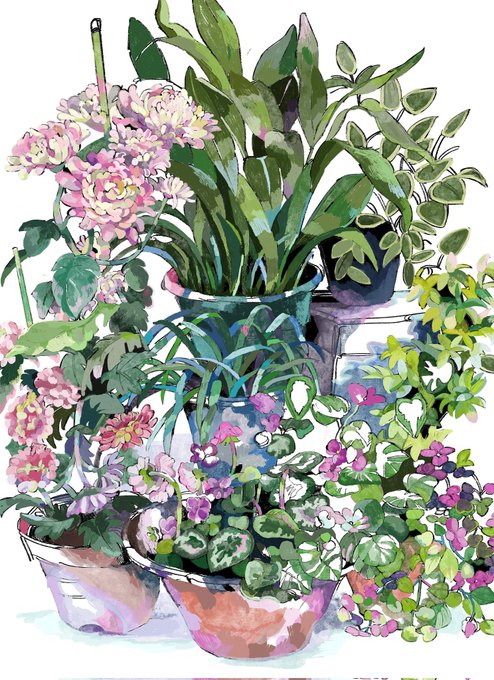 「flower pot pink flower」 illustration images(Latest)