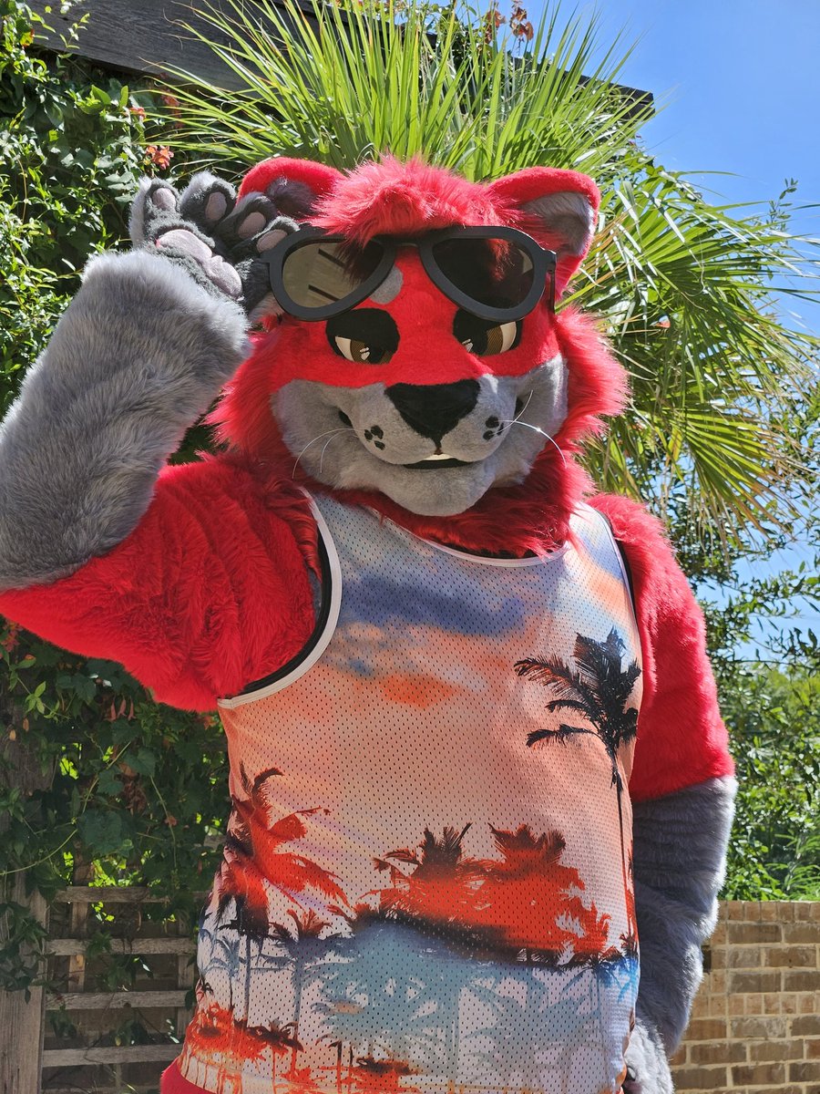 Velle/Ruger Shep🛫 TFF&LVFC tweet media