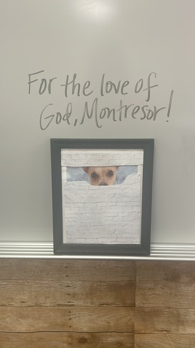 Twinkie is about to go through some things in room B216. 😳#caskofamontillado #poe