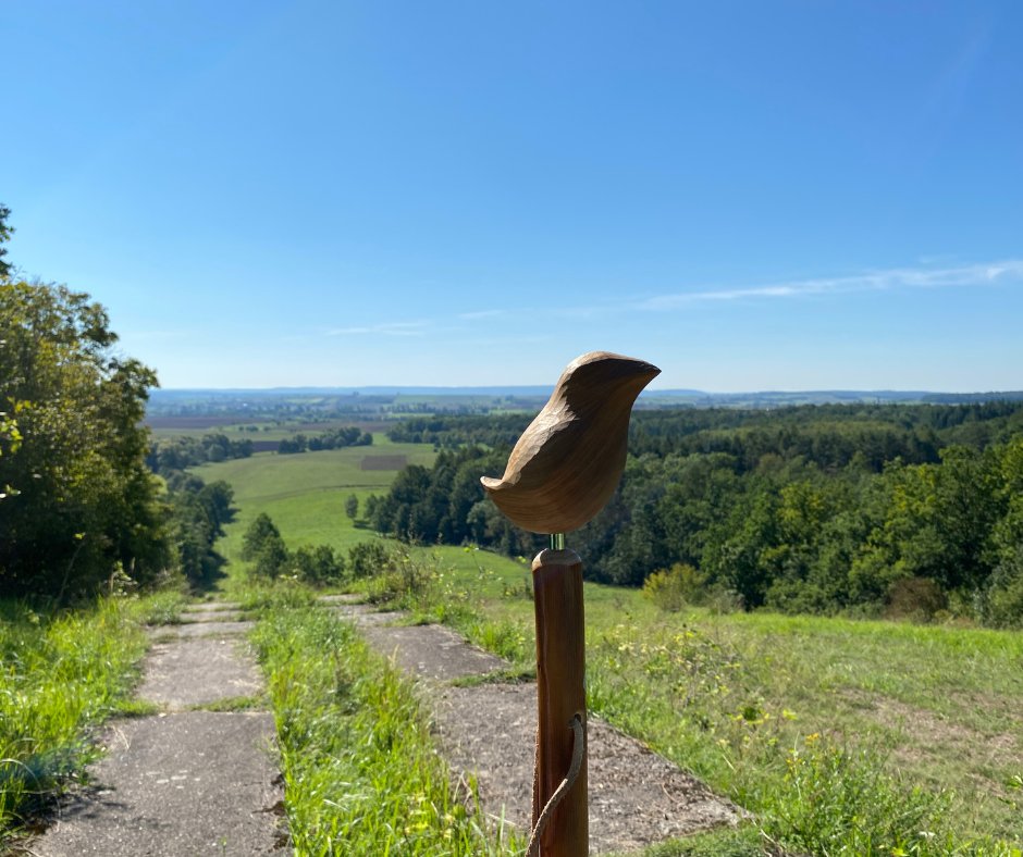 Das war die fünfte Woche unserer #GrenzenloseNaTour im Abschnitt #Rhön am Grünen Band Thüringen! <a href="/_PointAlpha/">Point Alpha Stiftung</a> Alle Infos dazu im Eintrag #6 auf unserem Blog ➡️stiftung-naturschutz-thueringen.de/erleben/grenze… <a href="/denispeisker/">Denis Peisker</a>