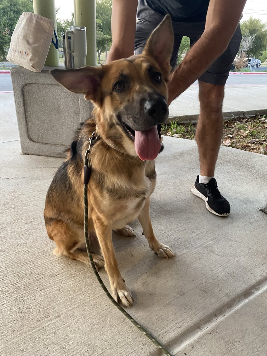 Jessica Dimas tweet media