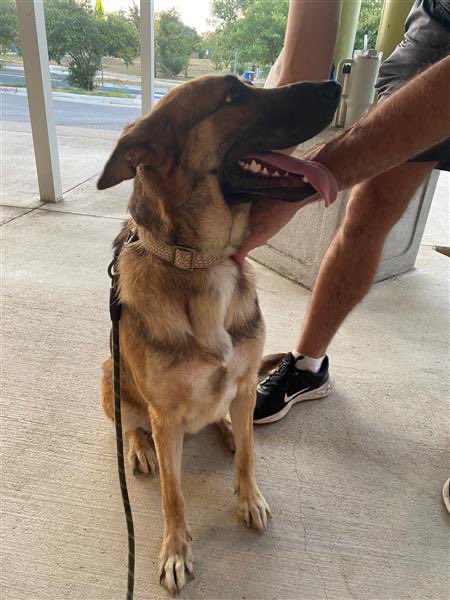 Jessica Dimas tweet media