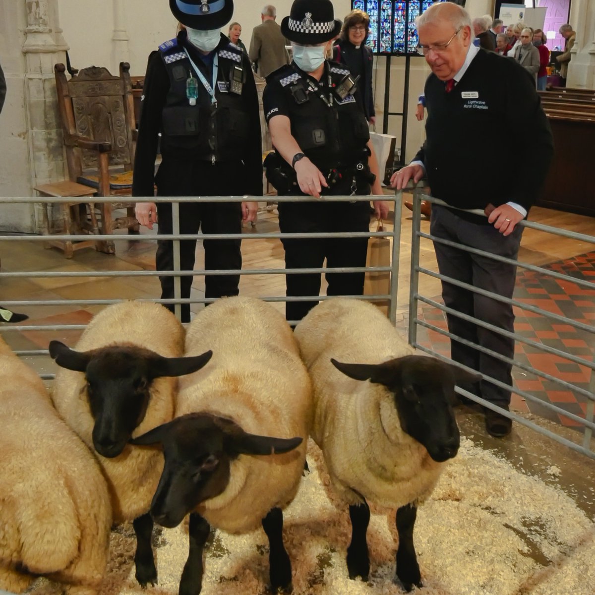 Lightwave Suffolk tweet media