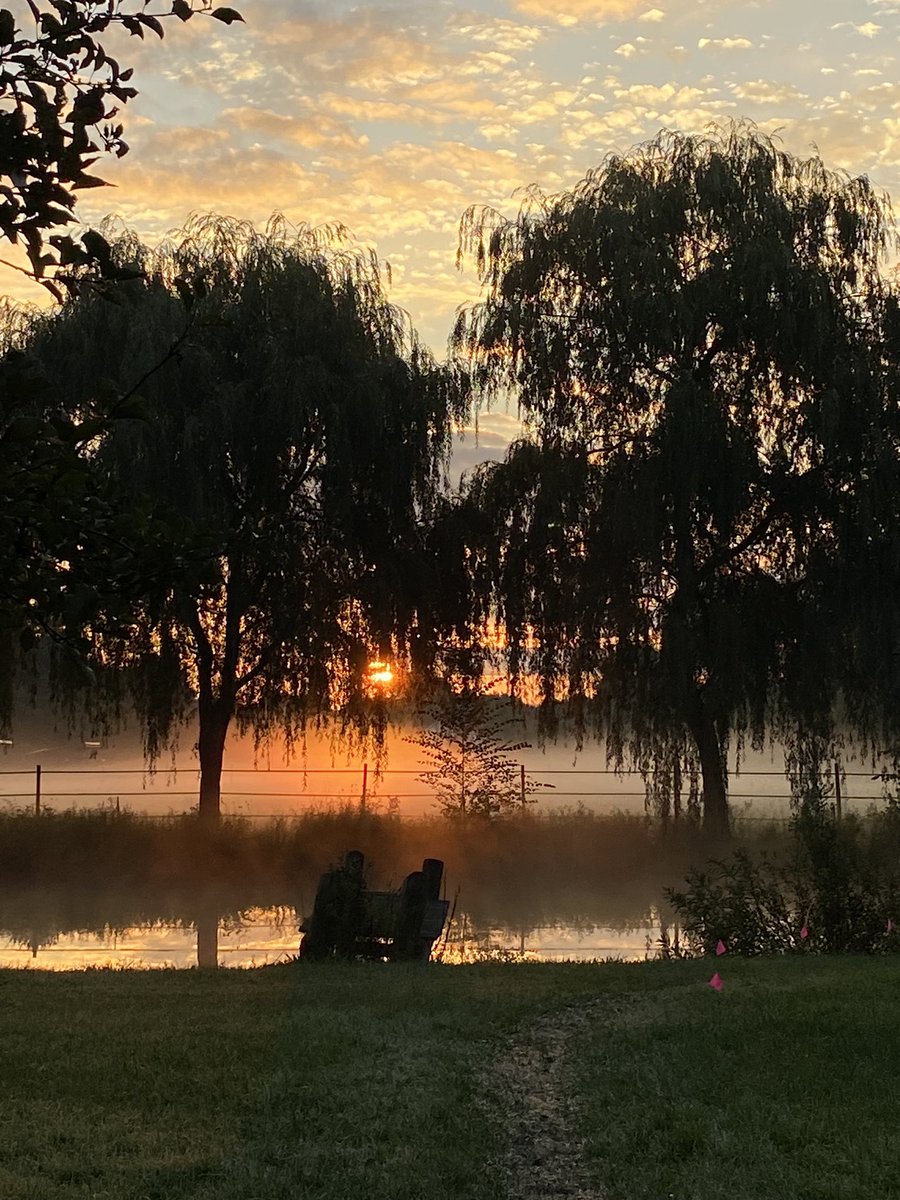gailmariehs's tweet photo. The sun comes up, it's a new day dawning… Sleigh Me 48 hour race in Shortsville. 103 miles and a new buckle ☺️only fell twice 😂 ouch! #OldLadyRunning #mondaythoughts #running how many races have Reindeer walking around 🦌 https://t.co/eVTG7KUfjj