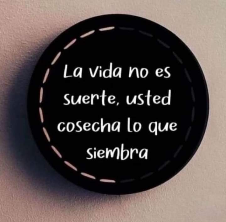 ✨Creo estar soñando✨ tweet media