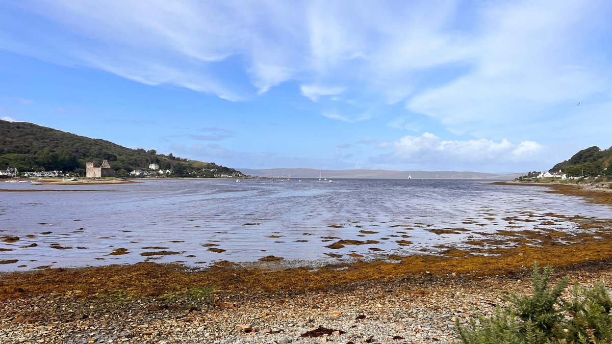 SASB High School tweet media