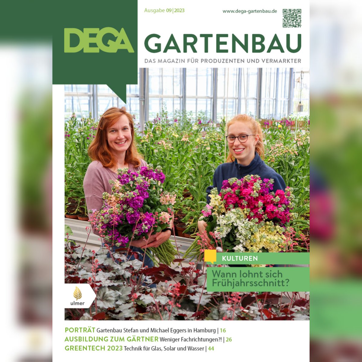DEGA_intl's tweet photo. When is it worth growing spring cut flowers?  This question was investigated by colleagues at the Bavarian State  Institute for Viticulture and Horticulture. The results can be found in  our new issue DEGA GARTENBAU 9/2023! https://t.co/xETEUaiSps